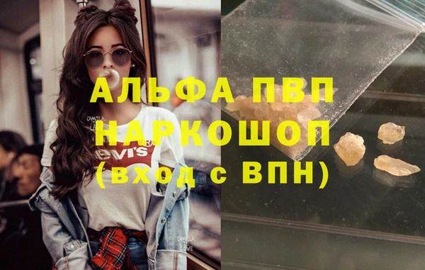 ПСИЛОЦИБИНОВЫЕ ГРИБЫ Няндома