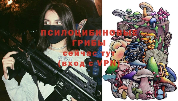 тгк Армянск