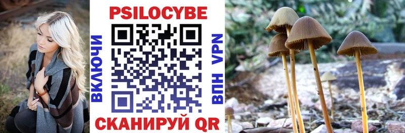 Галлюциногенные грибы Psilocybine cubensis  Кыштым 